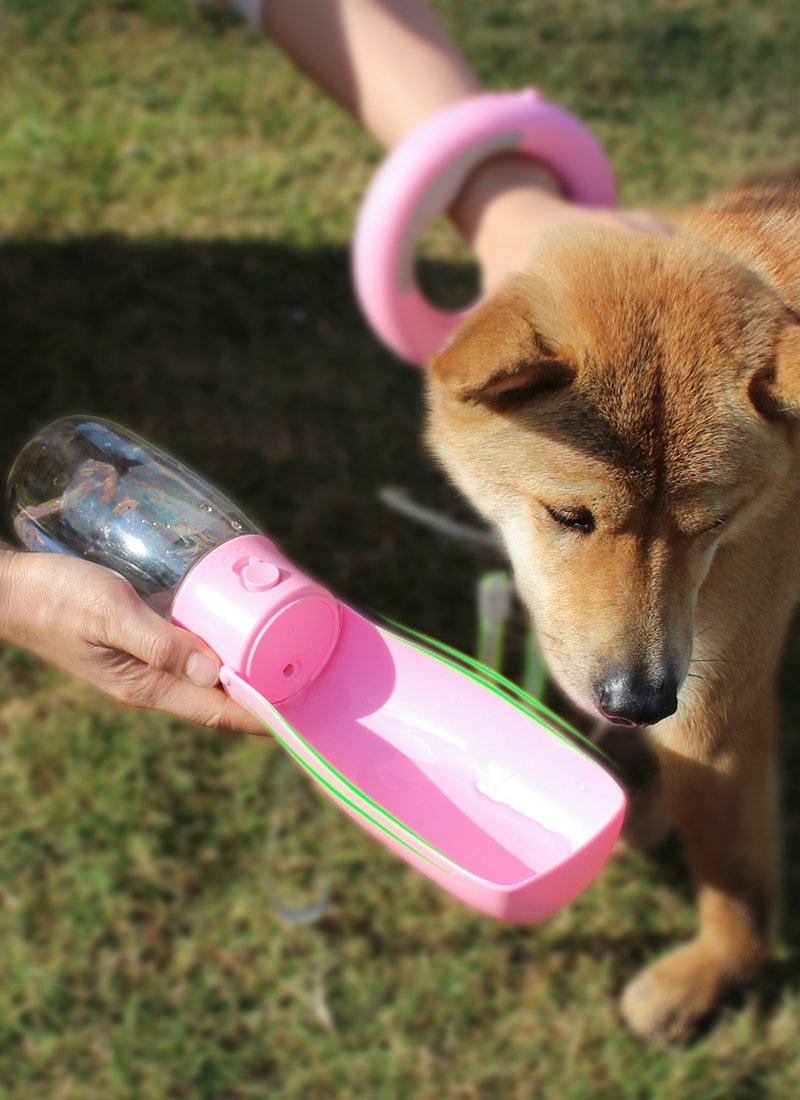 HW-PWB03 Folding Pet Water Bottle