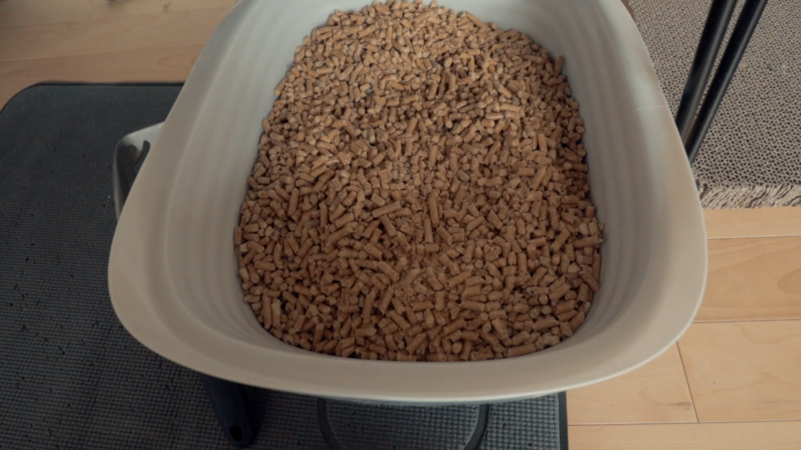 corn cat litter picture