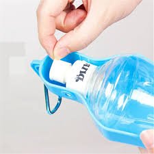 Cat Water Bottles