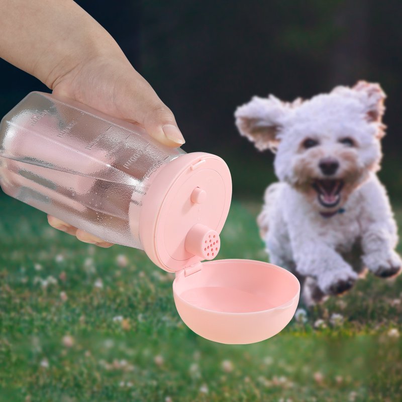 Pet outdoor bottle picture