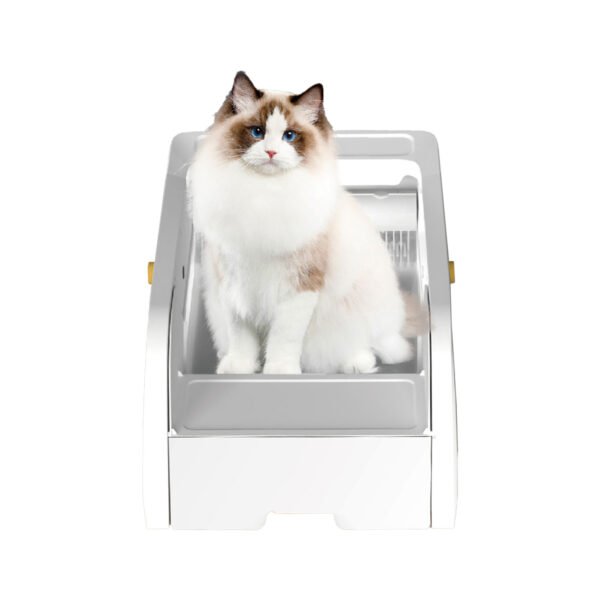 Open cat Litter Box